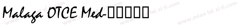 Malaga OTCE Med字体转换
